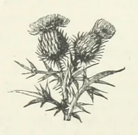 An illustration from Bond Slaves. The story of a struggle (1893)