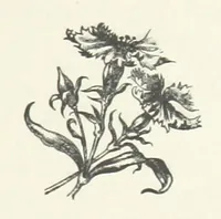 An illustration from Bond Slaves. The story of a struggle (1893)