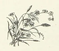 An illustration from Bond Slaves. The story of a struggle (1893)