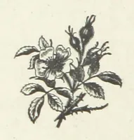 An illustration from Bond Slaves. The story of a struggle (1893)