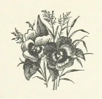 An illustration from Bond Slaves. The story of a struggle (1893)