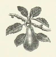 An illustration from Bond Slaves. The story of a struggle (1893)