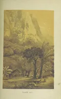 An illustration from Очерки перомъ и карандащемъ изъ кругосвѣтнаго плаванія въ 1857, 1858, 1859 и 1860 годахъ ... Изданіе второе, исправленное. Съ ... рисункамн (1867)