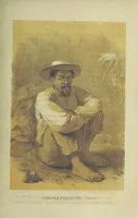 Picture 18 of 24 from Очерки перомъ и карандащемъ изъ кругосвѣтнаго плаванія въ 1857, 1858, 1859 и 1860 годахъ ... Изданіе второе, исправленное. Съ ... рисункамн (1867), leaf 491