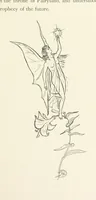An illustration from Belle and the Dragon. An elfin comedy (1894)