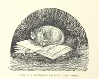 An illustration from Belle and the Dragon. An elfin comedy (1894)
