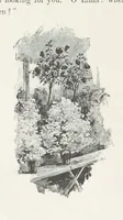 Picture 12 of 31 from A Sage of Sixteen, etc (1889), leaf 104