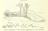 An illustration from Fair Diana. By “Wanderer” ... With illustrations by G. Bowers. [A novel (1884)