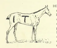 An illustration from Fair Diana. By “Wanderer” ... With illustrations by G. Bowers. [A novel (1884)