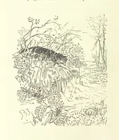 An illustration from Fair Diana. By “Wanderer” ... With illustrations by G. Bowers. [A novel (1884)