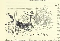 An illustration from Fair Diana. By “Wanderer” ... With illustrations by G. Bowers. [A novel (1884)