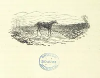 An illustration from Fair Diana. By “Wanderer” ... With illustrations by G. Bowers. [A novel (1884)