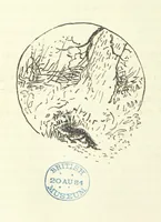 An illustration from Fair Diana. By “Wanderer” ... With illustrations by G. Bowers. [A novel (1884)