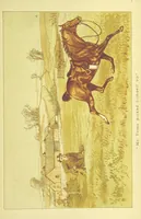 An illustration from Fair Diana. By “Wanderer” ... With illustrations by G. Bowers. [A novel (1884)