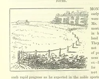 An illustration from Fair Diana. By “Wanderer” ... With illustrations by G. Bowers. [A novel (1884)