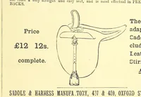 An illustration from Fair Diana. By “Wanderer” ... With illustrations by G. Bowers. [A novel (1884)
