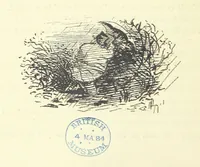 An illustration from Fair Diana. By “Wanderer” ... With illustrations by G. Bowers. [A novel (1884)