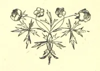 An illustration from Arthur's Victory (1873)