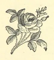 An illustration from Arthur's Victory (1873)