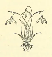 An illustration from Arthur's Victory (1873)