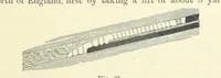 An illustration from A Comprehensive Reference Book on Practical Coal Mining ... Fourth edition (1891)