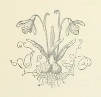 An illustration from A Villain's Legacy: being a second edition of Haro! Haro! Haro! etc (1899)