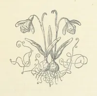 An illustration from A Villain's Legacy: being a second edition of Haro! Haro! Haro! etc (1899)