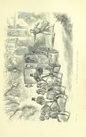 An illustration from Passages from the Diary of a Late Physician ... First series (1864)