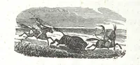 An illustration from Nights in a block house: or, sketches of border life, etc (1852)