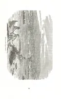 An illustration from Nights in a block house: or, sketches of border life, etc (1852)
