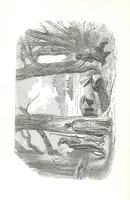 An illustration from Nights in a block house: or, sketches of border life, etc (1852)