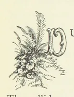 Picture 18 of 21 from Fireside Tales (1885), leaf 113