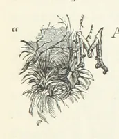 An illustration from Fireside Tales (1885)