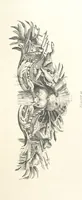An illustration from Old English and French ornaments; comprising 244 Designs ... by Chippendale, I. Jones, Johnson, Lock, and Pether ... Collected and republished by J. W (1858)