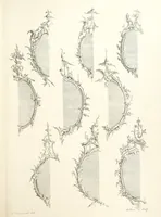 An illustration from Old English and French ornaments; comprising 244 Designs ... by Chippendale, I. Jones, Johnson, Lock, and Pether ... Collected and republished by J. W (1858)