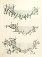 An illustration from Old English and French ornaments; comprising 244 Designs ... by Chippendale, I. Jones, Johnson, Lock, and Pether ... Collected and republished by J. W (1858)