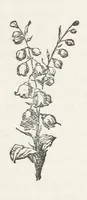 An illustration from Odd, or Even? [A novel (1880)