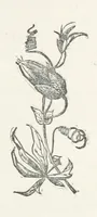 An illustration from Odd, or Even? [A novel (1880)