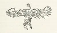 An illustration from Odd, or Even? [A novel (1880)