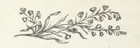 An illustration from Odd, or Even? [A novel (1880)
