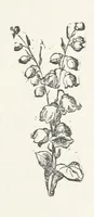 An illustration from Odd, or Even? [A novel (1880)