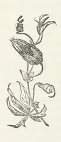 An illustration from Odd, or Even? [A novel (1880)