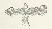 An illustration from Odd, or Even? [A novel (1880)