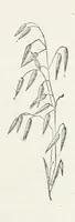 An illustration from Odd, or Even? [A novel (1880)