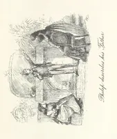 Picture 39 of 50 from The Veiled Hand, a novel of the sixties, the seventies, and the eighties, etc (1892), leaf 241