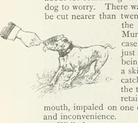 An illustration from The Veiled Hand, a novel of the sixties, the seventies, and the eighties, etc (1892)