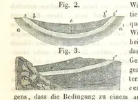 An illustration from Mathematische und physikalische Geographie nebst Chronologie, bearbeitet von Dr. Wiegand, Dr. Cornelius und Dr. von Schmöger (1857)