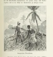 An illustration from Meine zweite Durchquerung Äquatorial-Afrikas vom Congo zum Zambesi während der Jahre 1886 und 1887 ... Mit 92 Abbildungen, etc (1890)