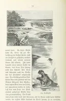 Picture 31 of 98 from Meine zweite Durchquerung Äquatorial-Afrikas vom Congo zum Zambesi während der Jahre 1886 und 1887 ... Mit 92 Abbildungen, etc (1890), leaf 112