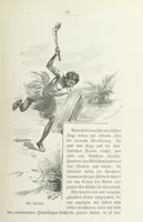 An illustration from Meine zweite Durchquerung Äquatorial-Afrikas vom Congo zum Zambesi während der Jahre 1886 und 1887 ... Mit 92 Abbildungen, etc (1890)